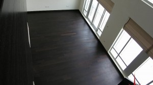 Downtown – The Lofts, Boutique Upgraded 2 BR Duplex Apt