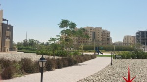 Remraam, Spacious 1 Bedroom Apartment in Al Thammam for Rent