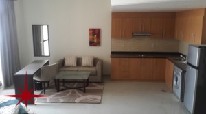 Arjan, Lincoln Park Large Fully Furnished Studio with Balcony