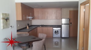 Large Fully Furnished 1BR With 2 Balconies
