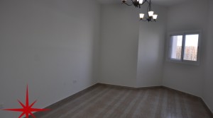 Brand New Spacious 1 BR Apt with Community View