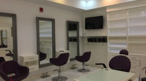 Fully Furnished Salon in Park Towers